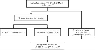 Locally advanced rectal cancer with dMMR/MSI-H may be excused from surgery after neoadjuvant anti-PD-1 monotherapy: a multiple-center, cohort study
